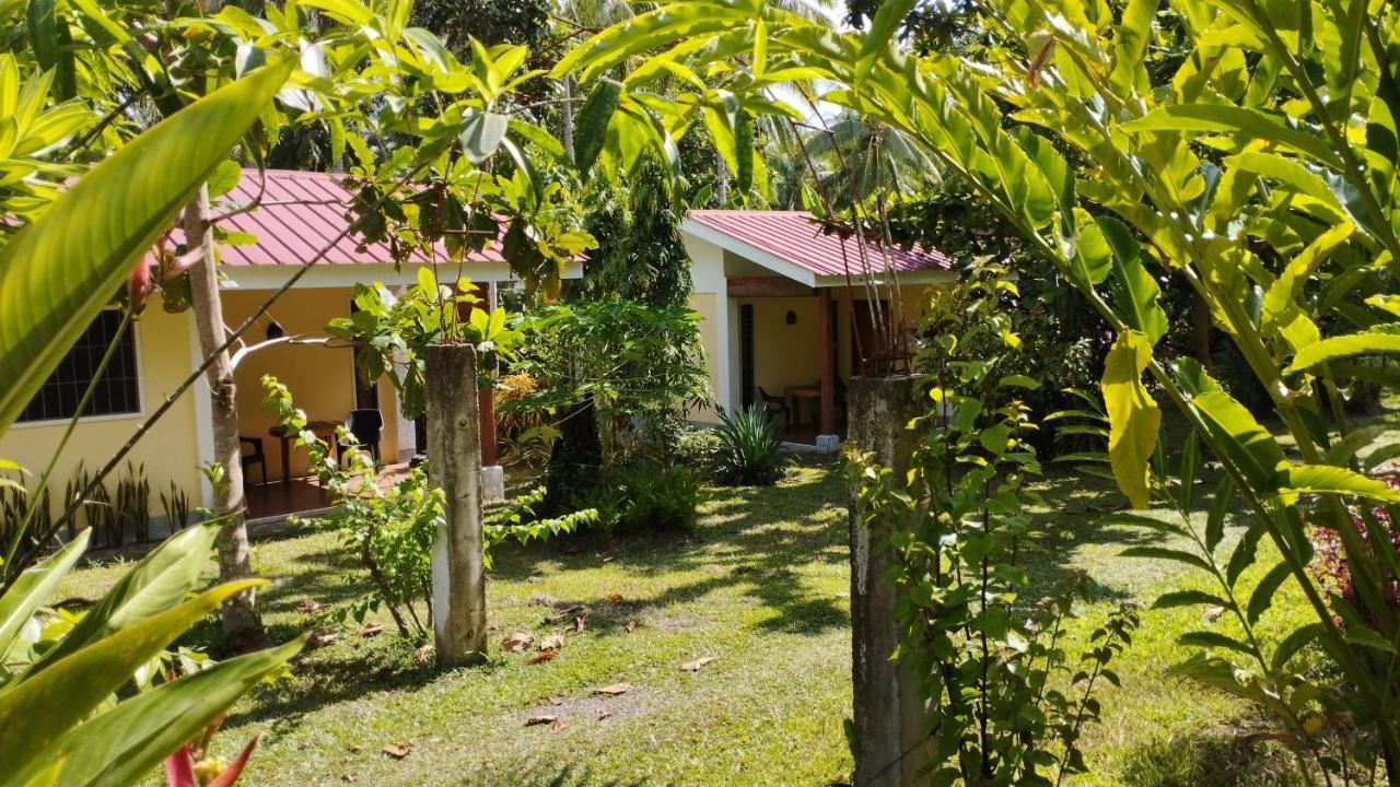Acacia'S Cottages With Starlink Wifi Мамбахао Экстерьер фото