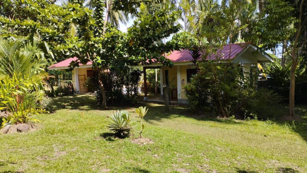 Acacia'S Cottages With Starlink Wifi Мамбахао Экстерьер фото