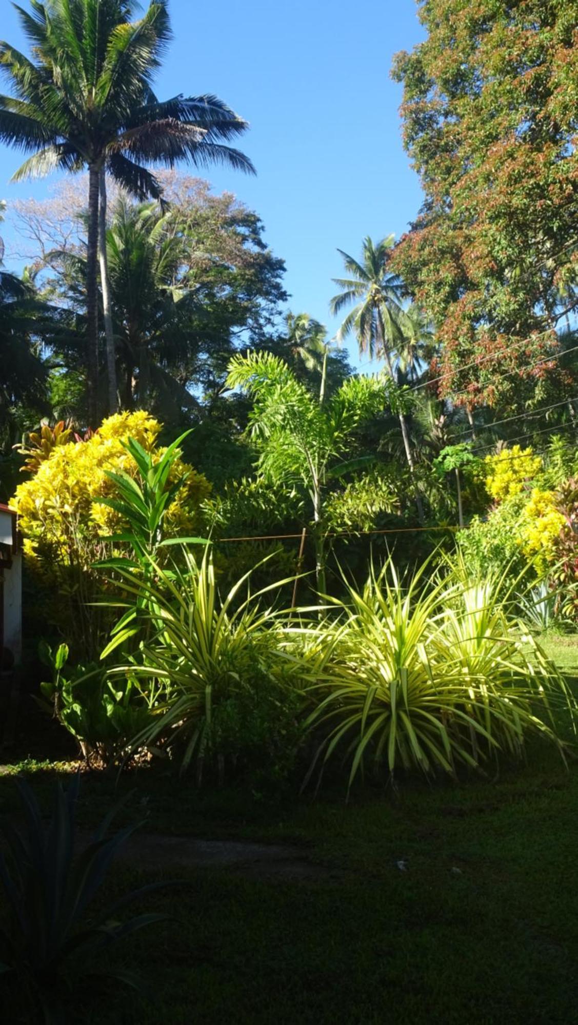 Acacia'S Cottages With Starlink Wifi Мамбахао Экстерьер фото