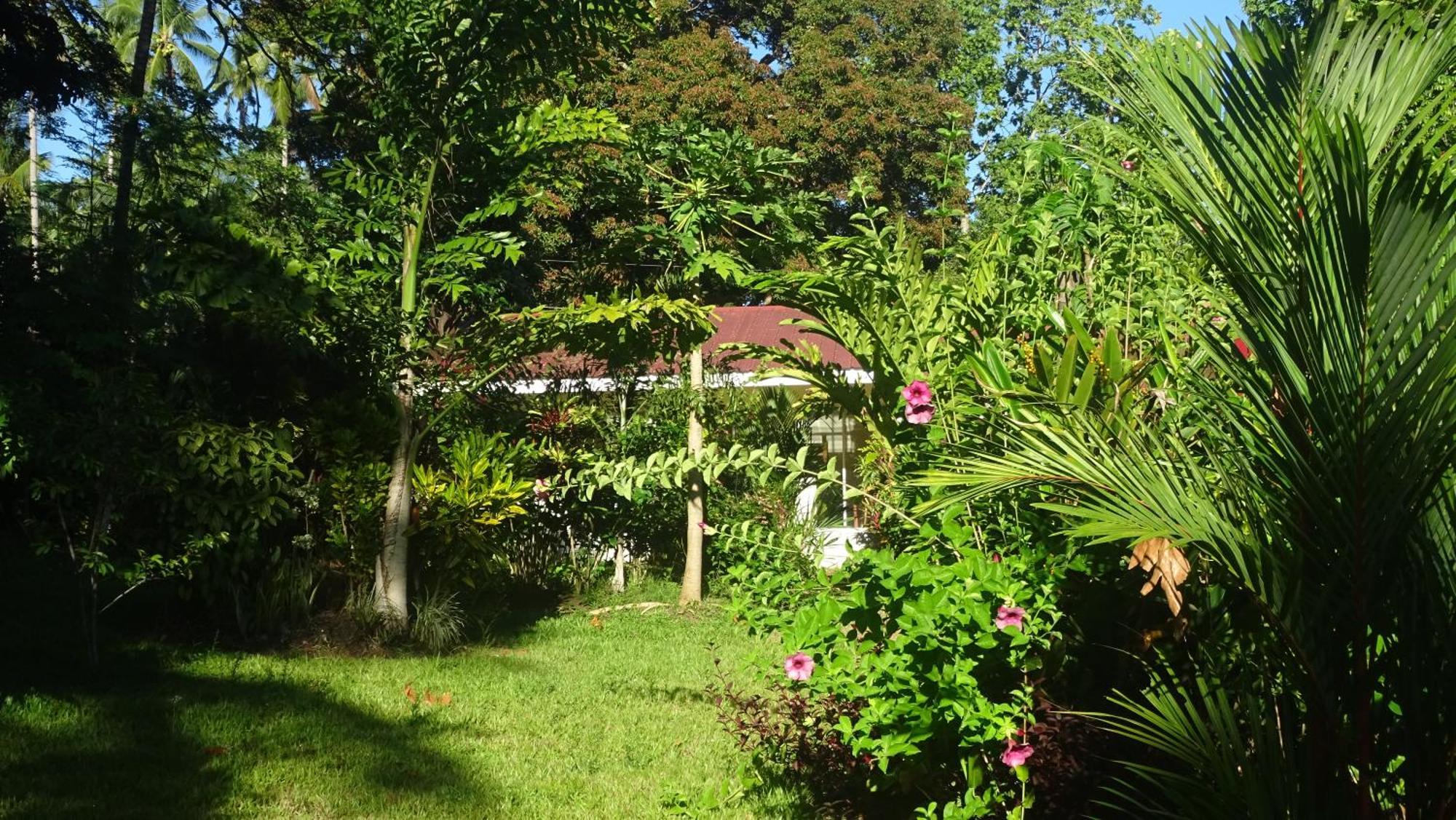Acacia'S Cottages With Starlink Wifi Мамбахао Экстерьер фото